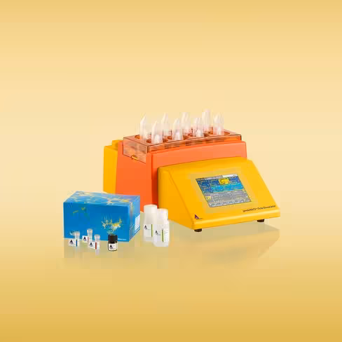 Adult Brain Dissociation Kit mouse and rat/for 50 preparations