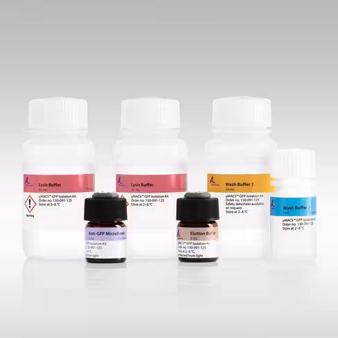 MultiMACS GFP Isolation Kit (12×8)/1 kitfor 96 isolations