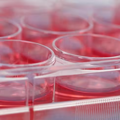 StemMACS Passaging Solution XF/100 mL