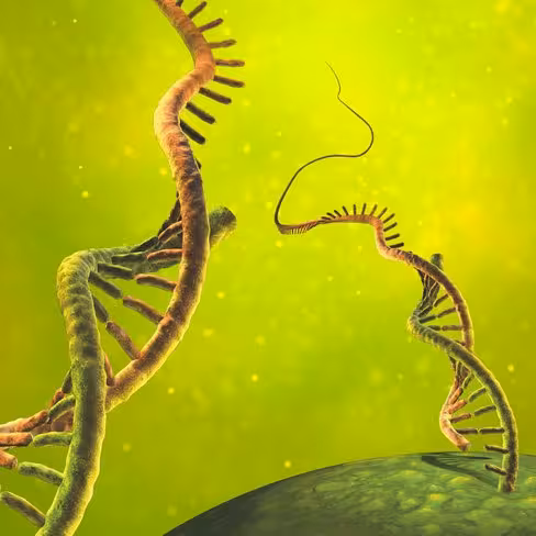 MultiMACS mRNA Isolation Kit (4×96)/for 384 isolations