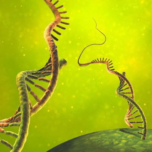 MACS One-step cDNA Kit/for 20 reactions