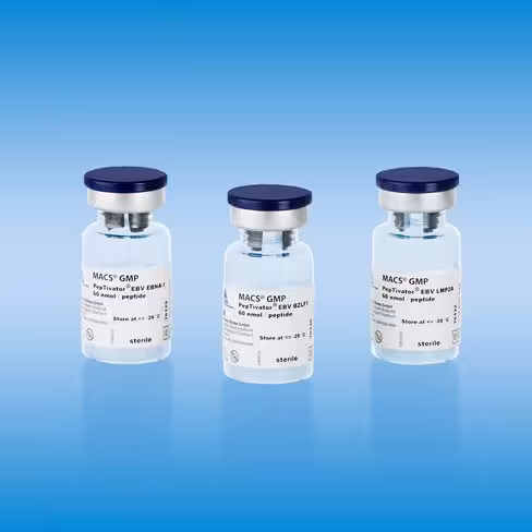 MACS GMP PepTivator BKV VP1/60 nmol/peptide for stimulation of 1×10E9 cells