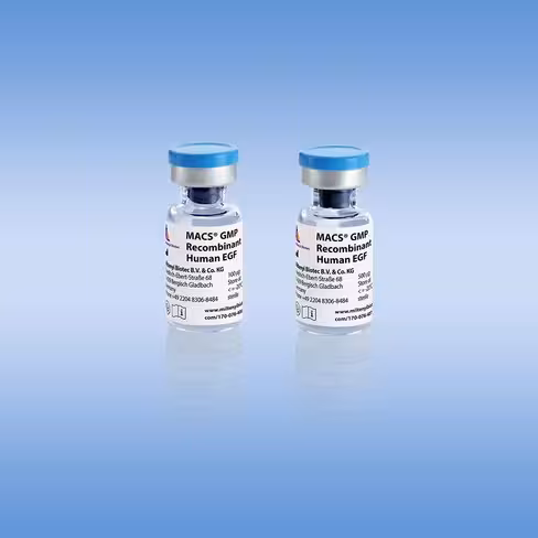MACS GMP Recombinant Human EGF/500 µg