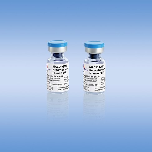 MACS GMP Recombinant Human EGF/100 µg