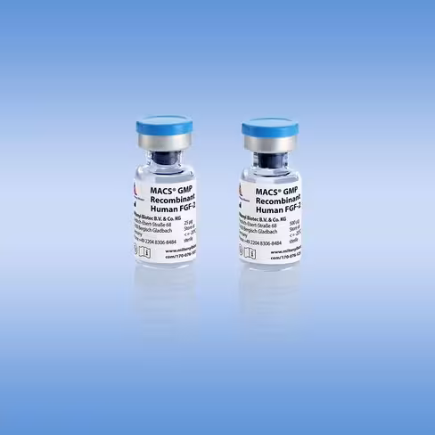 MACS GMP Recombinant Human FGF-2/25 µg