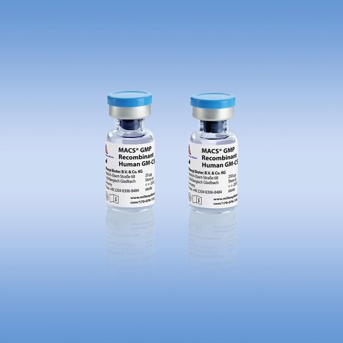 MACS GMP Recombinant Human GM-CSF/25 µg