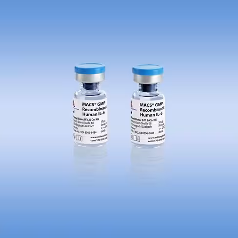 MACS GMP Recombinant Human IL-6/10 µg