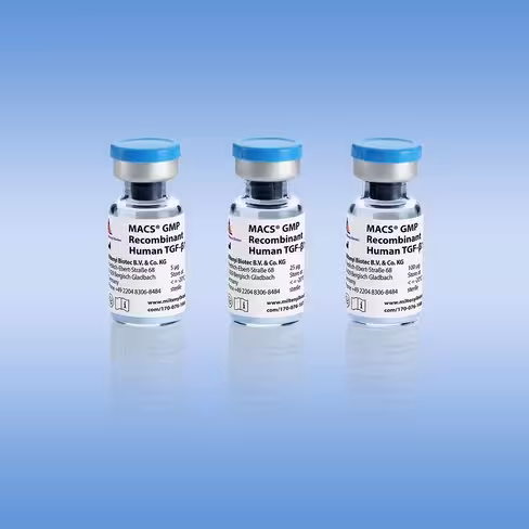MACS GMP Recombinant Human TGF-B1/100 µg