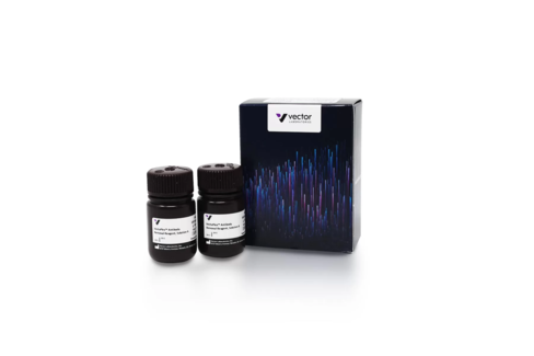 VectaPlex Antibody Removal Kit