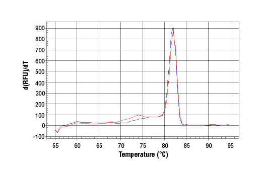 SimpleChIP Human MS4A7 Promoter Primers 500 µl