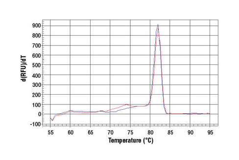 SimpleChIP Human MS4A7 Promoter Primers 500 µl