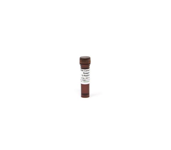 RNA Conversion Reagent (1 tube) 1,5 ml