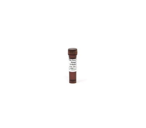 RNA Conversion Reagent (1 tube) 1,5 ml