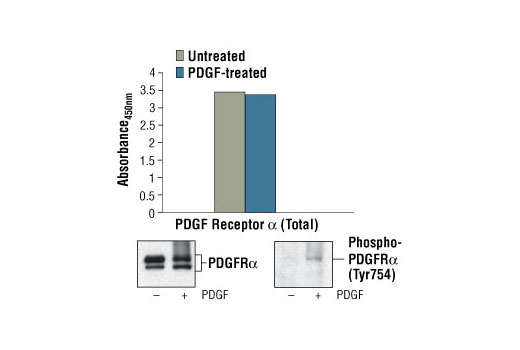 PathScan Total PDGF Receptor alpha Sandwich ELISA Kit 1 kit