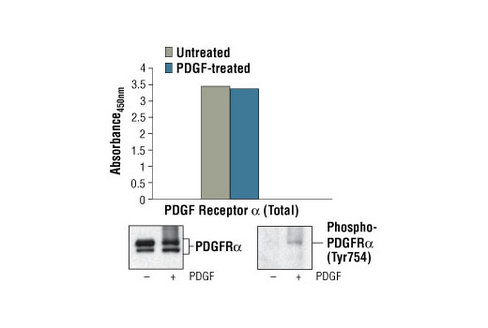 PathScan Total PDGF Receptor alpha Sandwich ELISA Kit 1 kit