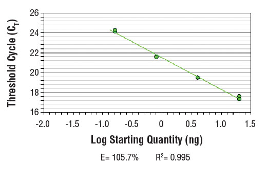 SimpleChIP Human HSP70 Intron 1 Primers 500 µl