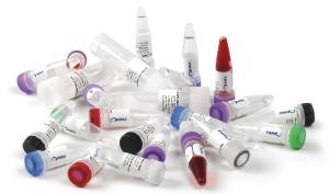 Dna polymerase tempase hotstart 5u/µl