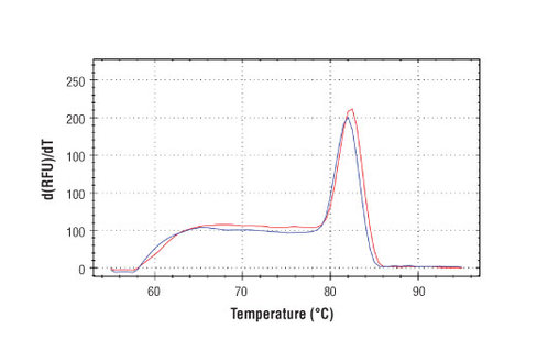 SimpleChIP Human HMOX1 Promoter Primers 500 µl