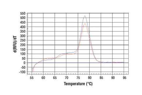 SimpleChIP Human HoxA9 Promoter Primers 500 µl