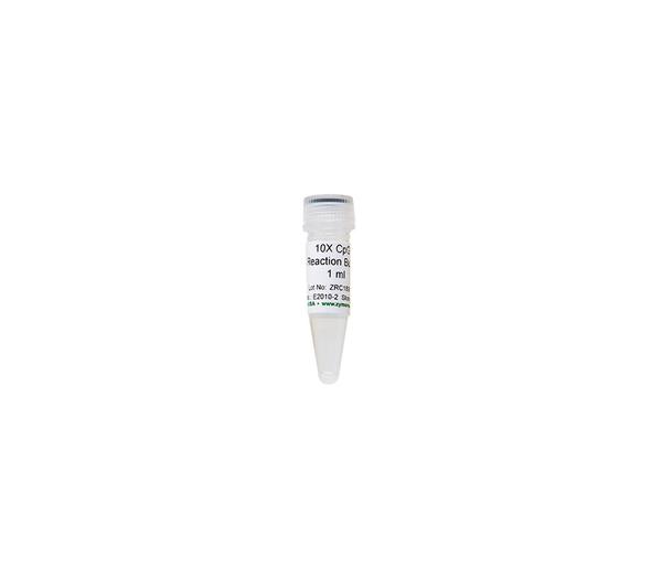 10X CpG Reaction Buffer 1 ml