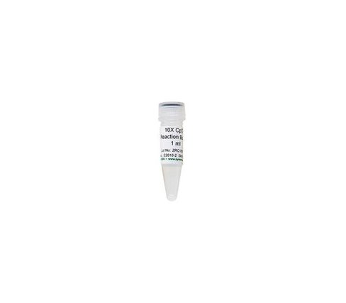 10X CpG Reaction Buffer 1 ml