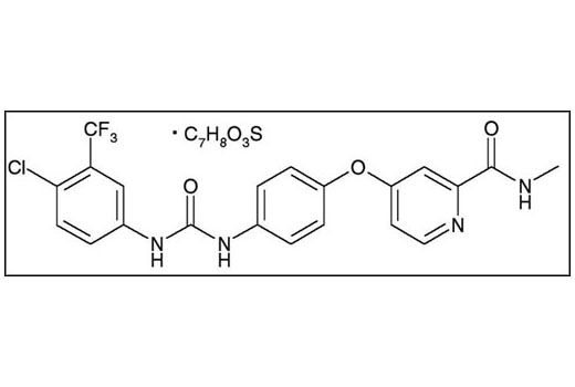 Sorafenib 10 mg