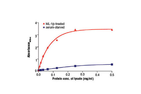 PathScan Total Cox2 Sandwich ELISA Kit 1 kit