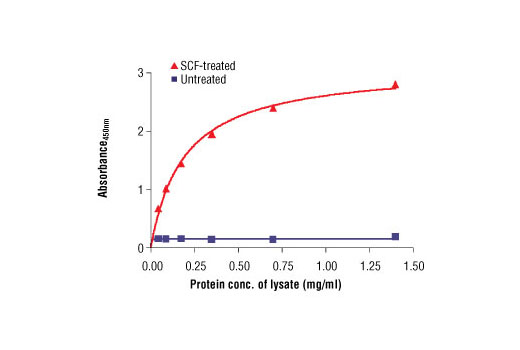 PathScan Phospho-c-Kit (Tyr719) Sandwich ELISA Antibody Pair 1 kit