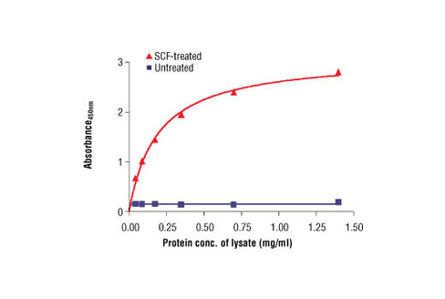 PathScan Phospho-c-Kit (Tyr719) Sandwich ELISA Antibody Pair 1 kit