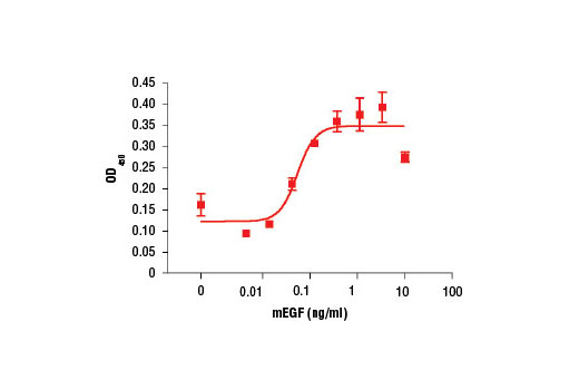 Mouse Epidermal Growth Factor (mEGF) 50 µg