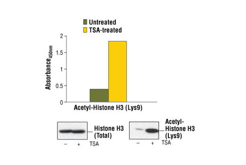 PathScan Acetyl-Histone H3 (Lys9) Sandwich ELISA Kit 1 kit