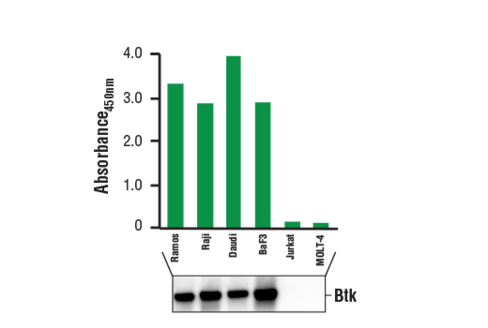 PathScan Total Btk Sandwich ELISA Kit 1 kit