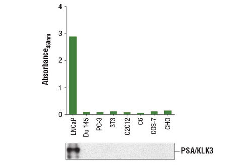 PathScan Total PSA/KLK3 Sandwich ELISA Kit 1 kit
