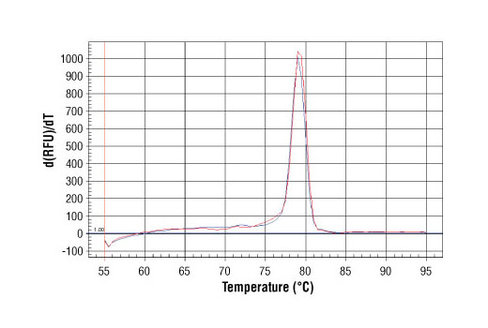 SimpleChIP Human Sat2 Repeat Element Primers 500 µl
