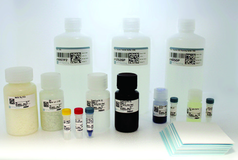 Western Blotting Application Solutions Kit 1 kit
