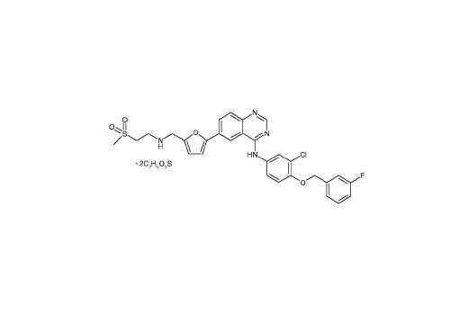 Lapatinib 10 mg