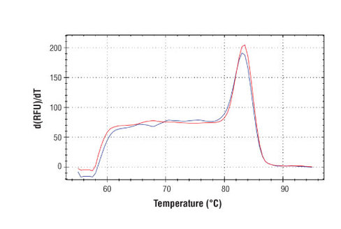 SimpleChIP Mouse CXCL2 Promoter Primers 500 µl