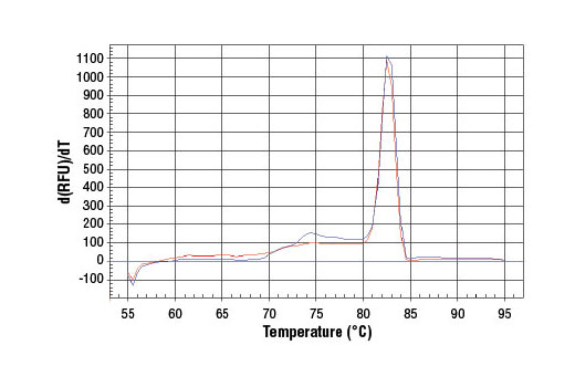 SimpleChIP Mouse HoxD10 Exon 1 Primers 500 µl
