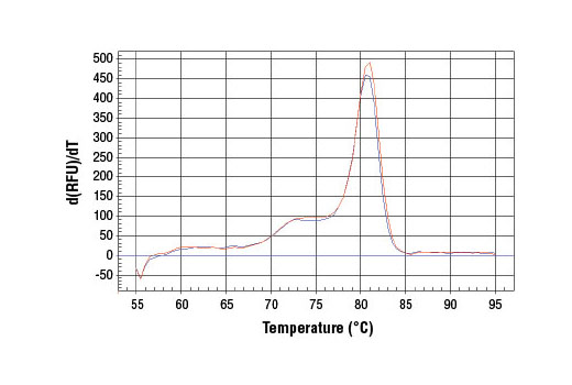 SimpleChIP Human c-Fos Exon 3 Primers 500 µl