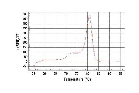 SimpleChIP Human c-Fos Exon 3 Primers 500 µl