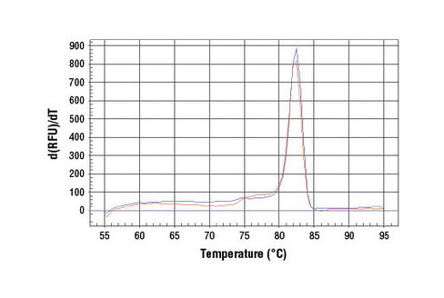 SimpleChIP Human pS2 Promoter Primers 500 µl