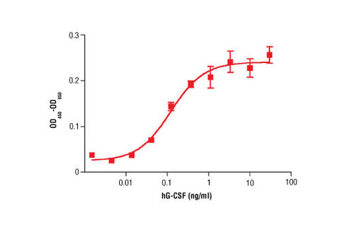 Human Granulocyte Colony Stimulating Factor (hG-CSF) 10 µg