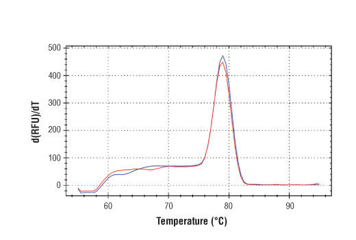 SimpleChIP Human c-Fos Upstream Primers 500 µl