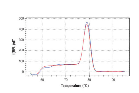 SimpleChIP Human c-Fos Upstream Primers 500 µl