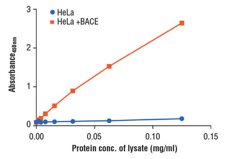 PathScan Total BACE Sandwich ELISA Kit 1 kit