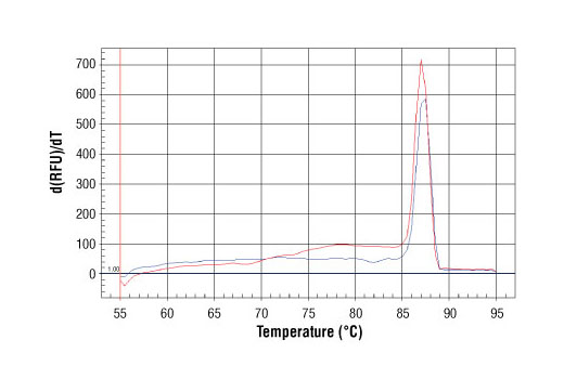 SimpleChIP Mouse Oct-4 Promoter Primers 500 µl