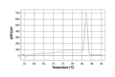 SimpleChIP Mouse Oct-4 Promoter Primers 500 µl