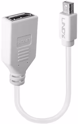 Convertisseur Mini-DisplayPort vers DisplayPort 41021 - LINDY