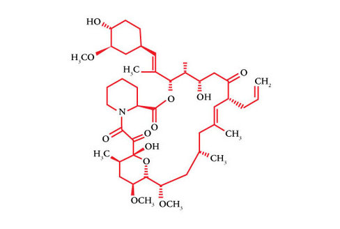 FK-506 10 mg