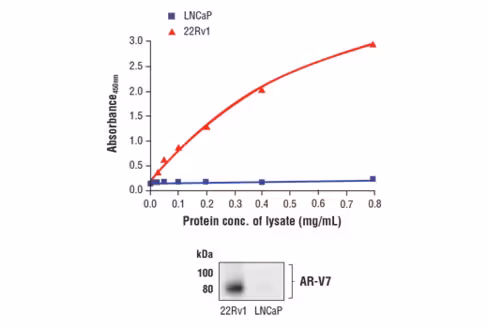 FastScan Androgen Receptor (AR-V7 Specific) ELISA Kit 1 kit